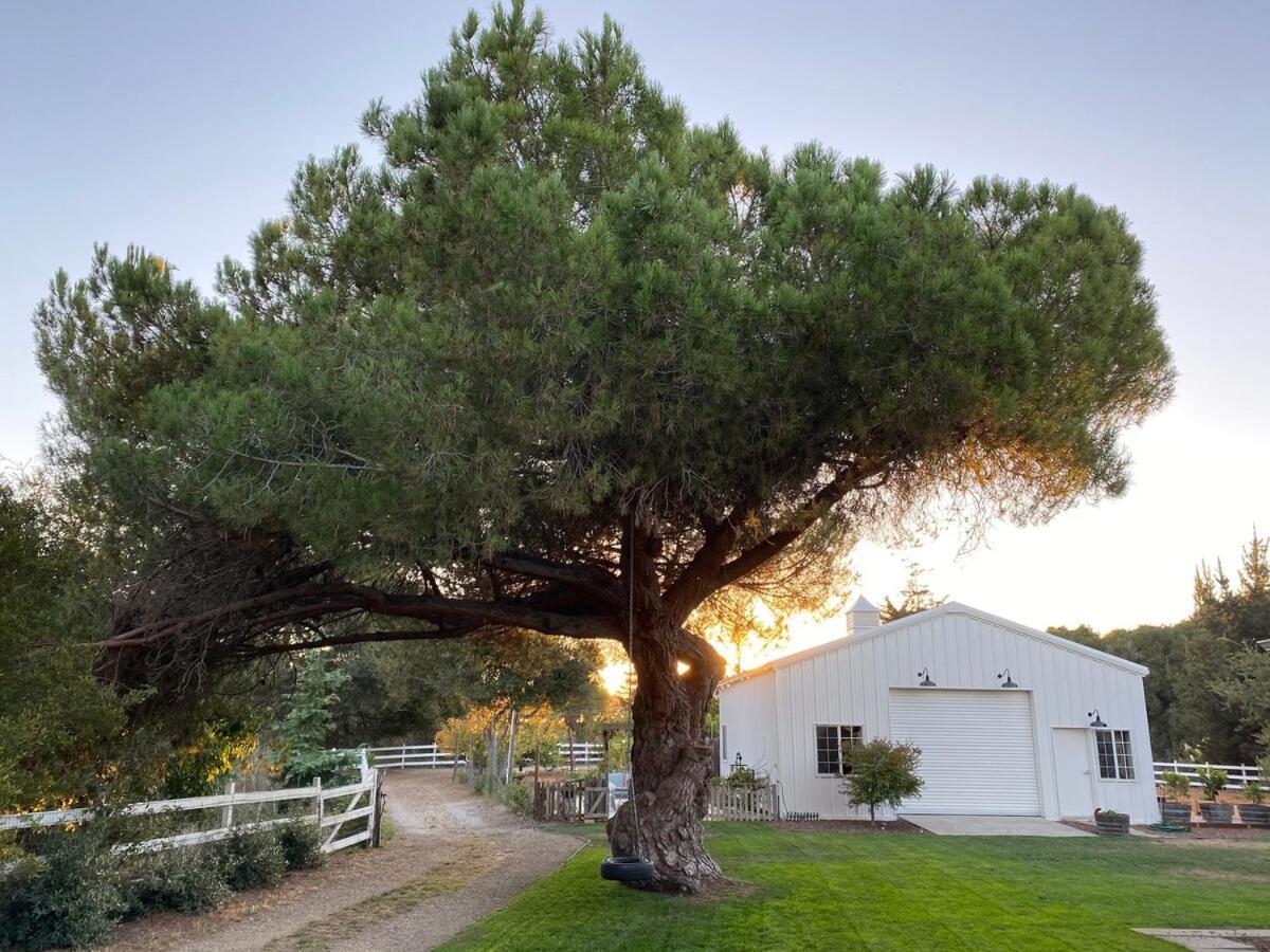 The Ranchette At Los Berros Arroyo Grande Dış mekan fotoğraf